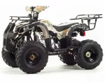 Квадроцикл MOTOLAND (МОТОЛЕНД) 125 FOX Квадроцикл MOTOLAND (МОТОЛЕНД) 125 FOX