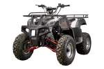 Квадроцикл YACOTA SELA 200