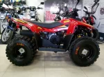 Квадроцикл STELS ATV 100RS