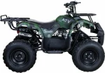 КВАДРОЦИКЛ RAPTOR 8 ATV125UF CLASSIC 125CC 4Т КВАДРОЦИКЛ RAPTOR 8 ATV125UF CLASSIC 125CC 4Т